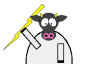 ThunderCow Software